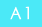 A1